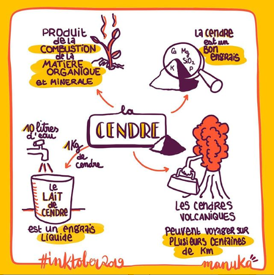 Explication de dessin de ce qu'est la cendre